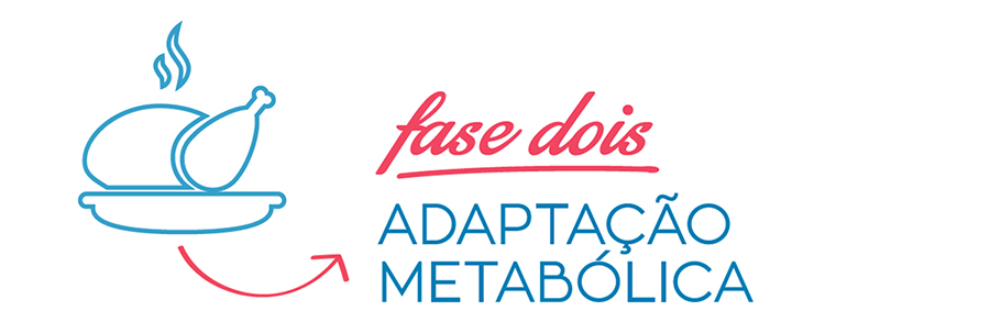 fase_dois copy