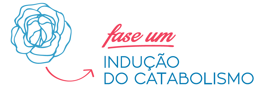 fase um dieta biotrês