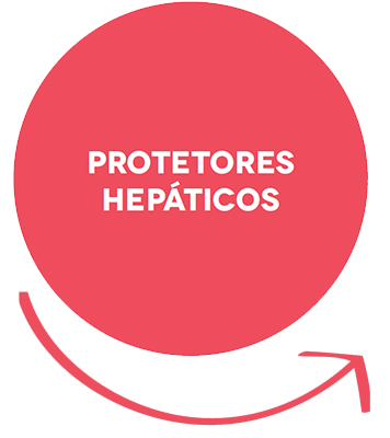 protetores hepaticos